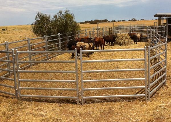 Corral 6 Bar Oval Tube Horse Fence Panels Hot Dip Galvanized 1.8x2.1m