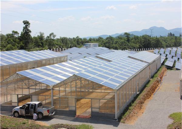 High Density Greenhouse Solar System Economical Planting Hot Dip Galvanized Steel Structure