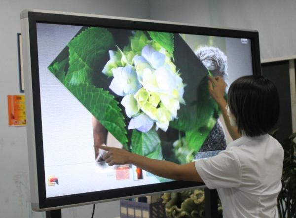 Infrared sensor 55 inch touch television for Pre-school education professional
