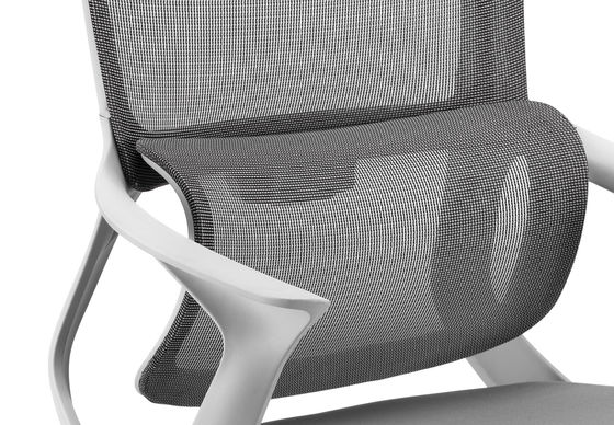 Adjustable Height Computer Desk Chair with Ergonomic Design Swivel Base and Durable PP Materials for Office Comfort