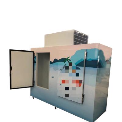 Used outdoor ice bag storage freezer for sale,100 Cu. Ft. Double Doors Cold Wall Type