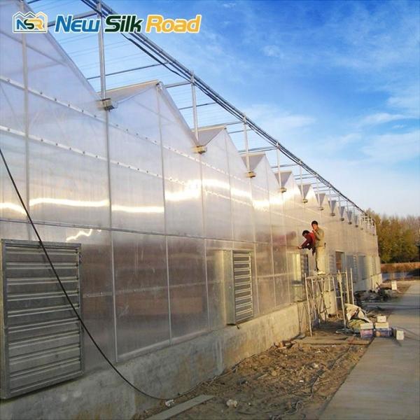 polycarbonate stegplatten sunroom green house multi wall polycarbonate sheet