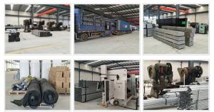 Shandong Lisent Agricultural Technology Co., Ltd.