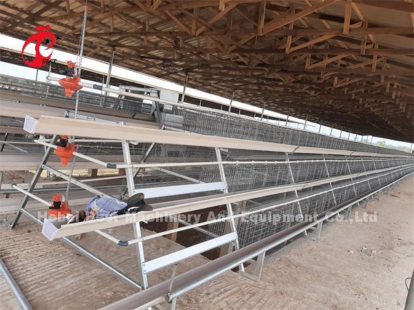 Горячая окунутая гальванизированная система клетки батареи слоя для птицефермы Q235 стального Эмили