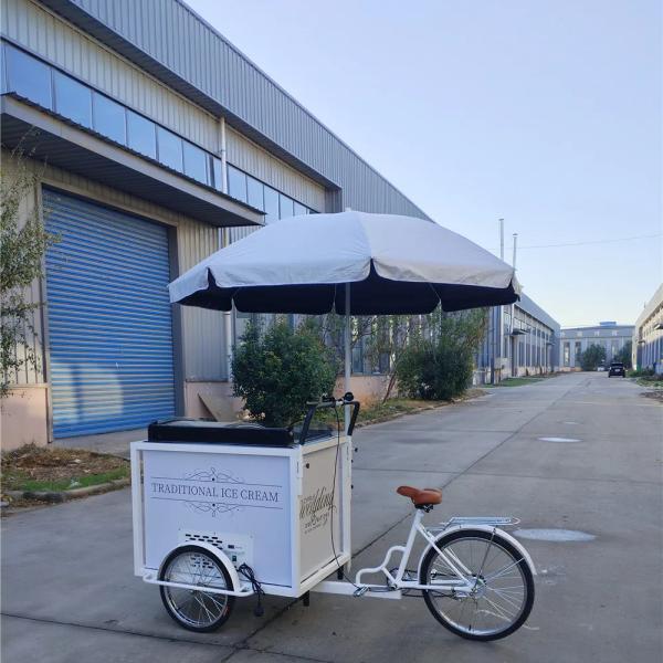 Snack Food Ice Cream Push Cart Tricycle Customized Cooking Equipment with Wheels