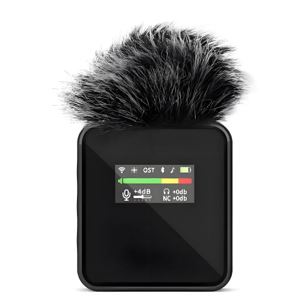 Equipped With Two People Explaining At The Same Time And Imported LLC Noise Reduction Chip