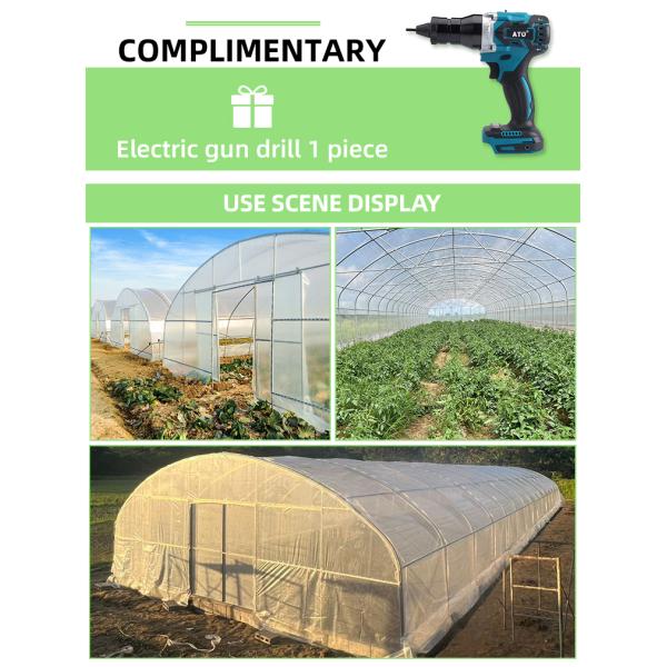 Теплица тоннеля овощный салат теплица с пленочной пленкой с NFT