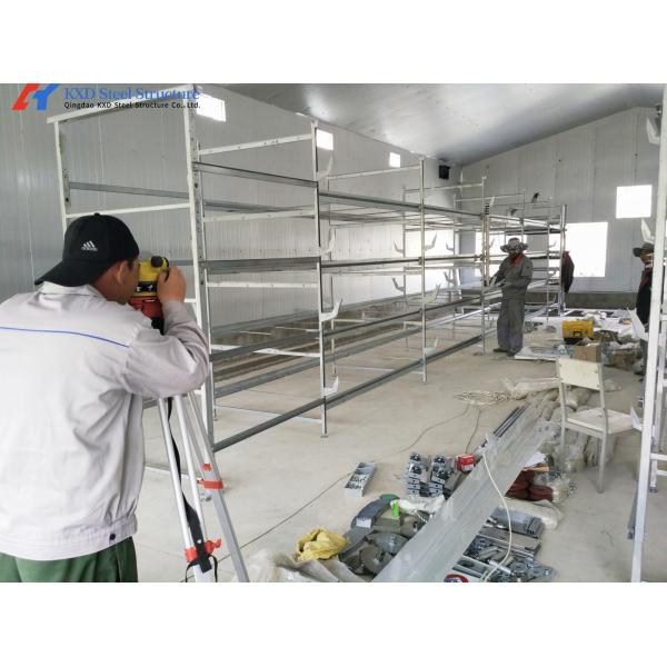 Facilidad de operación Granja de aves de corral Nido de puesta automático PP