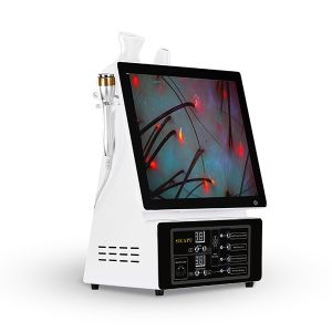 Multifunctional Scalp Treatment Machine Anti Hair Loss Therapy Device With Hair