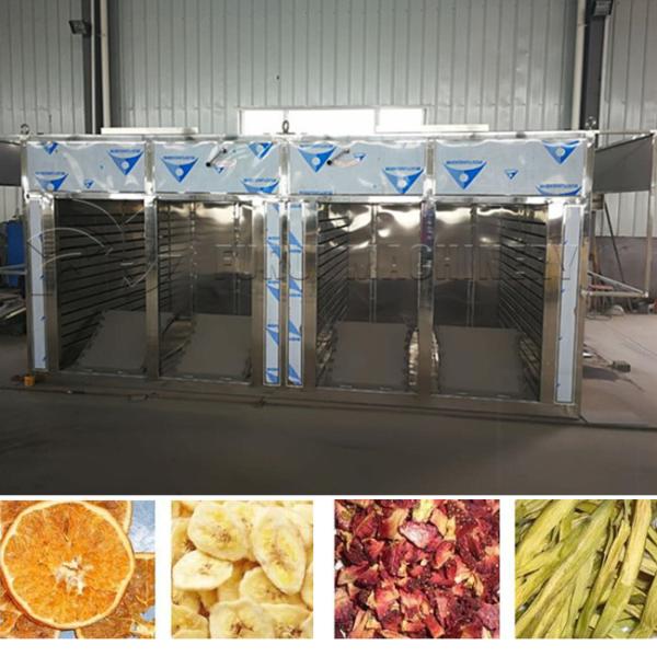 304 Ss Industrial Fruit Dehydrator Machine Mushroom Herb Dryer 2 Sets Trolleys