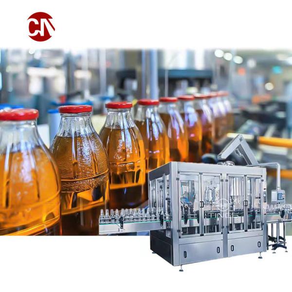 Water Processing Plant Automatic Fruit Juice Equipment / Drinking Water Production Line
