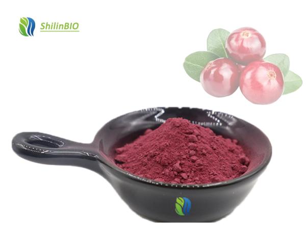 Pure Natural Cranberry Extract Powder Cranberry Fruit Powder Anthocyanin Cranberry Powder