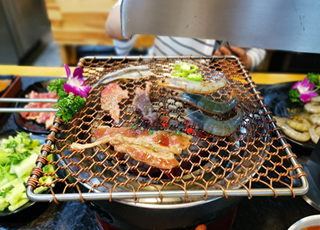 ячеистая сеть гриля БАРБЕКЮ угля провода 0.5mm-5.0mm скрежещет 100*200mm 300*500mm