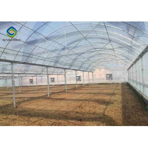 Commercial 200 Micron Film 0.50KN/M2 Multi Span Greenhouse