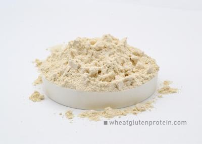 Glutina de trigo seco forte e extensivel Cor ligeiramente amarelada