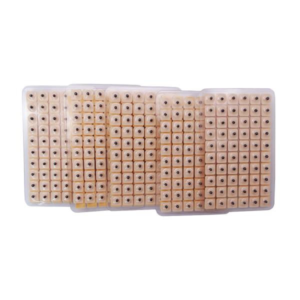 Chinese Medicine Apparatus Massage Therapy Tool using 10pcs Magnet Patch