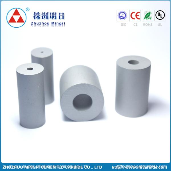 Matrice se dirigeante froide Hardmetall de carbure cimenté de tungstène de GT40 GT55