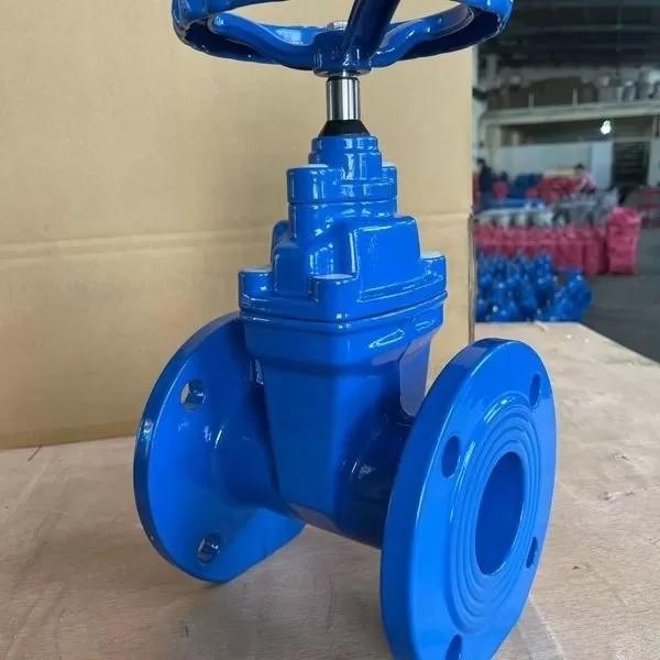 Valve de porte Pn16 à joint souple en fer flexible personnalisé avec fonction de commande manuelle