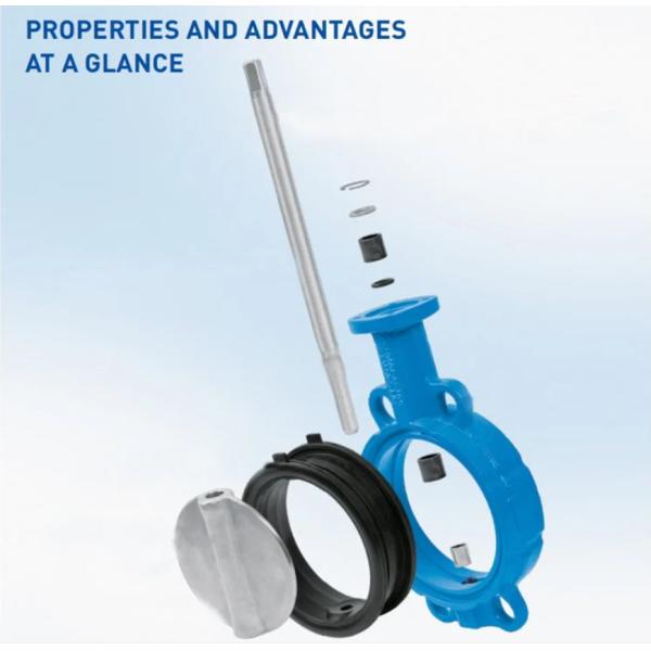 Port Size with Customer's Requirements Sea Water Butterfly Valve DN100 DN500 2