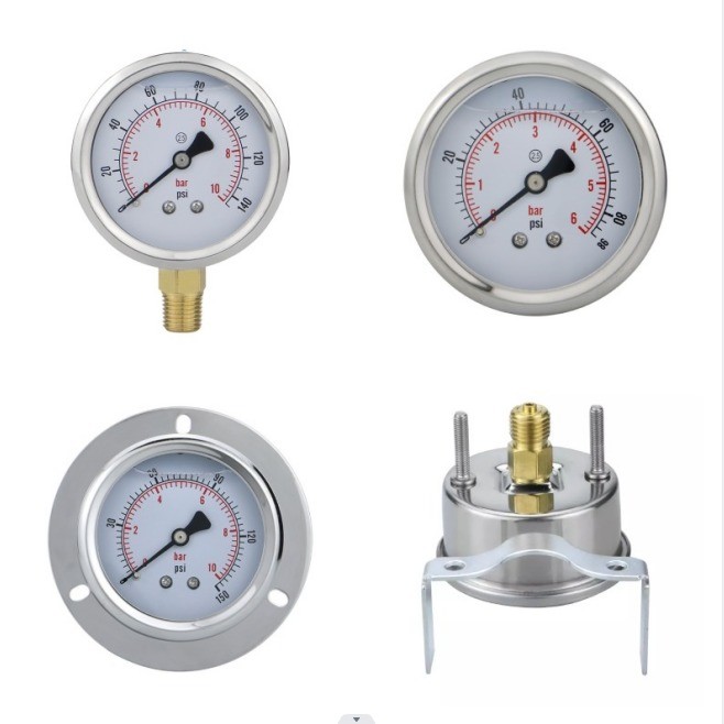 Stainless Steel Case Glycerin Filled Pressure Gauge with 2.5% Accuracy and OEM Bezel