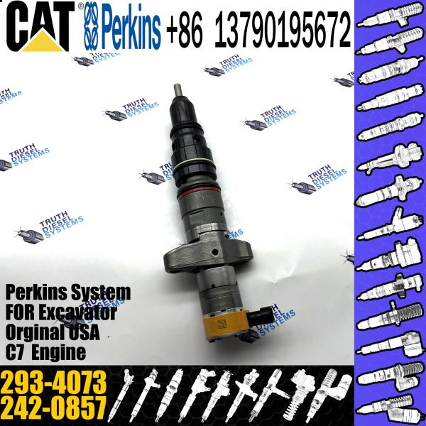 Diesel Engine Perkins Diesel Injector 293-4073 293-4073 Cat C9 Injector 324D 325D