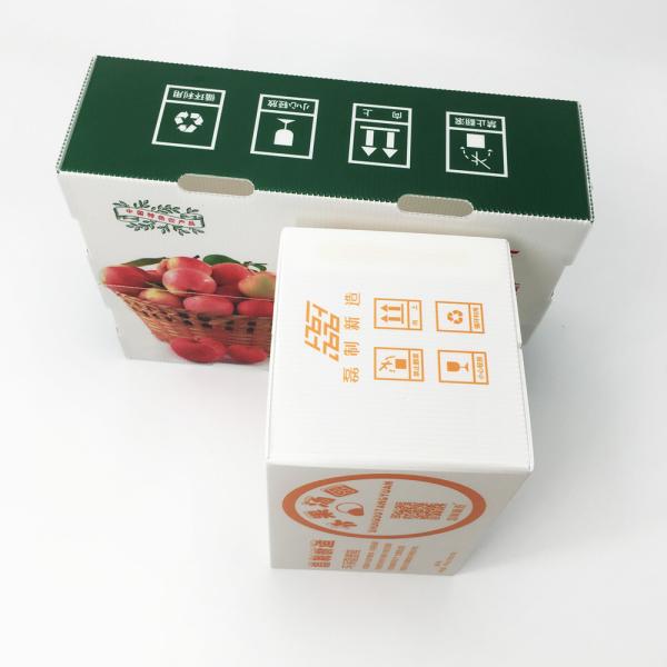 Stackable пластмасса гофрировала складного грызуна Eco коробок не токсического анти- дружелюбного