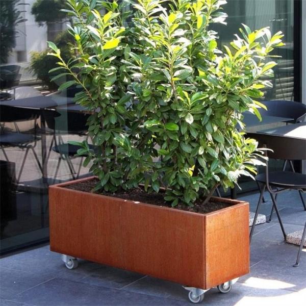 Plantador de aço de resistência removível da calha de Corten nas rodas dos rodízios