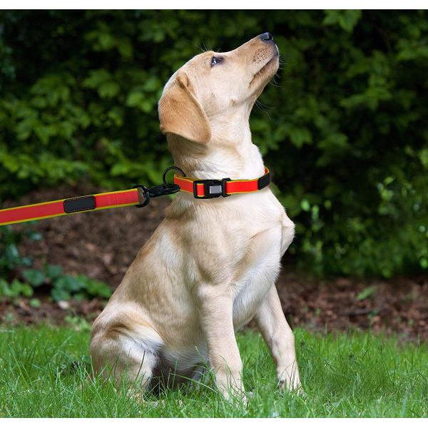 поводок собаки 4фт оранжевый водоустойчивый, отсутствие поводка собаки тяги Унчевабле для небольших средних больших собак