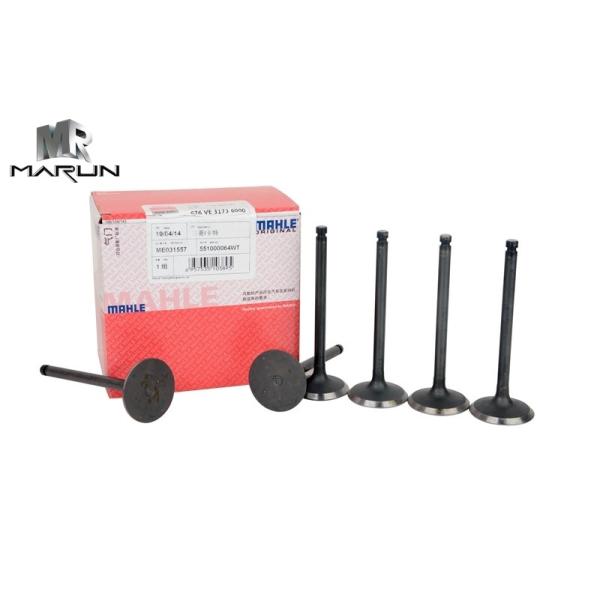 Intake Valve and Exhaust Valve for Mitsubishi 6D15t Me031557 Me031558