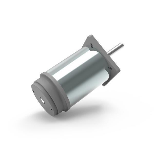 Electric Door Motor