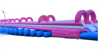 Funny Colorful Water Slide Commercial Customized Large Hippo Inflatable Water Slide With Pool For Sale