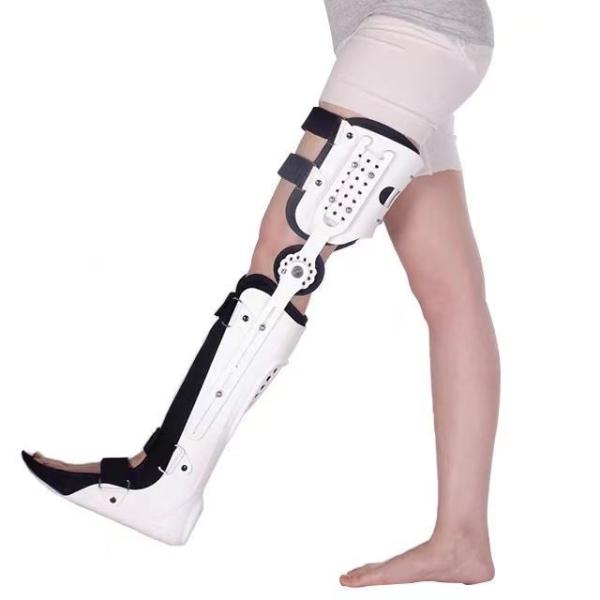 Knee Brace Support