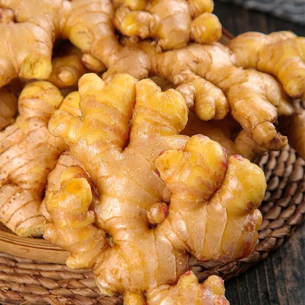 Organic Fresh Yellow Young Ginger Farm-Grown Chinese Ginger High-quality 100% Pure Natural Specification