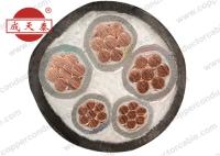 600 CU résistant au feu de câble de /1000V FRC/basse fumée de XLPE/LSZH cable électrique nul d'halogène