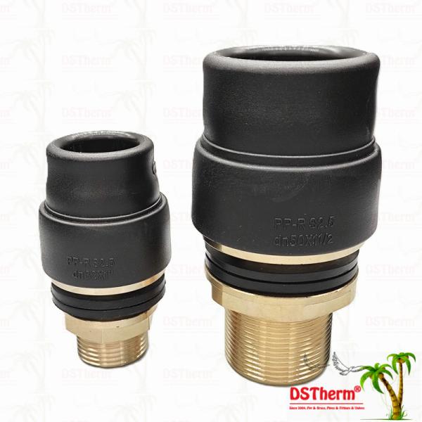 PPR Tank Transit Coupler PPR Water Tank Fittings Eco-Safe & Cost-Efficient