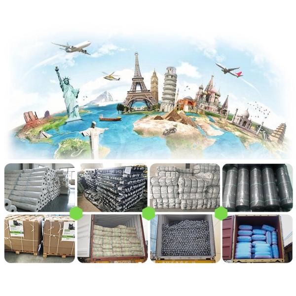 Saco de malla de monofilamento de plástico de HDPE virgen con cierre de cuerda de tracción personalizado para cebolla