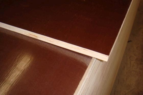 formwok film faced plywood manufacture