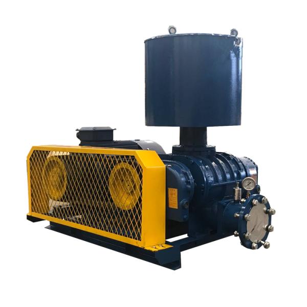 Aeration Aquaculture Horizontal Biogas Roots Air Blower