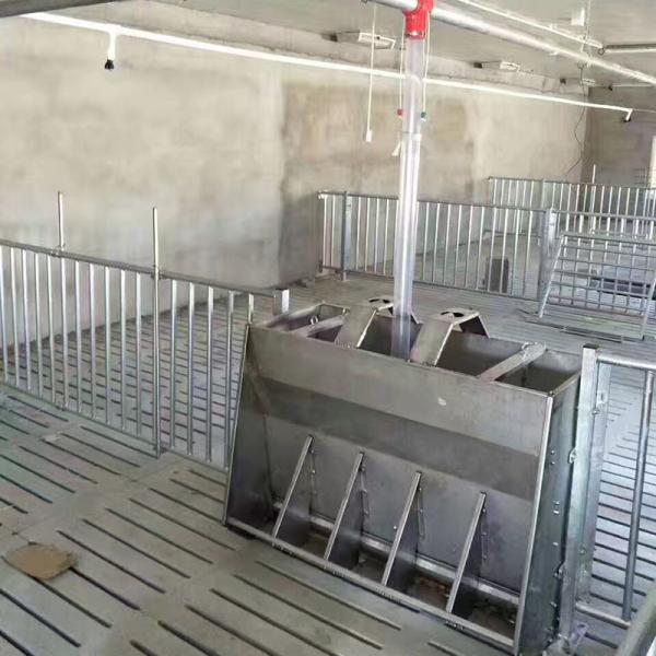 Finisseur d'équipement de ferme de porcherie d'ESPOIR de HI finissant Pen Crate