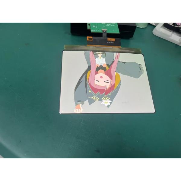 8 Inch AMOLED OLED Display With Touch Panel 1860×2480 Resolution MIPI Interface  430cd/m2 Driving IC RM69380