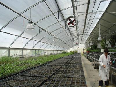20.000kg Package Gross Weight Multi Span Tomato Cucumber Strawberry Growing Greenhouse