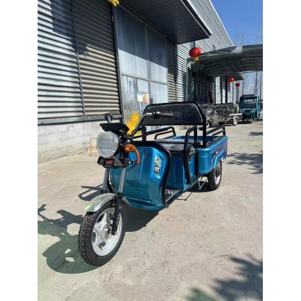 Custom Farm 1200W Electric Tricycle Motorcycle with Front Drum Rear Drum Brake System