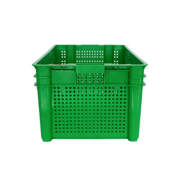 Vented Collapsible Plastic Storage Crate for Durable and Lightweight Storage