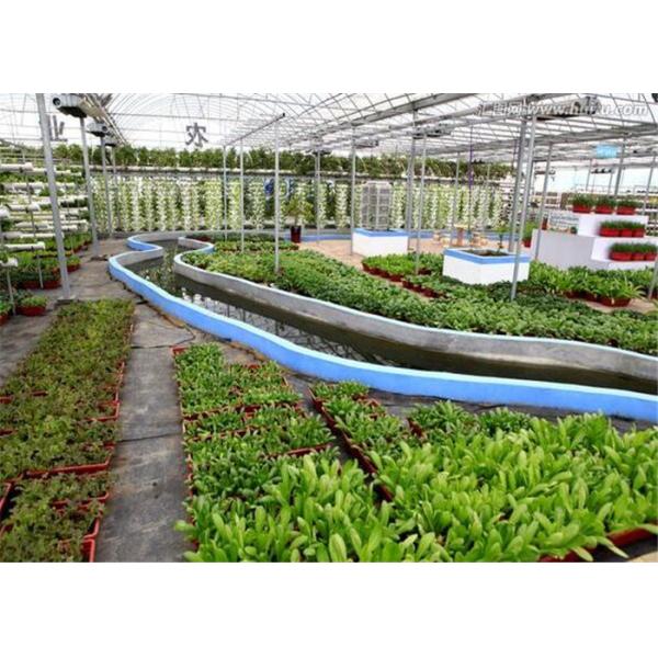 4m Bay Width Hydroponic Greenhouse Strong Ability To Resist Bad Weathers