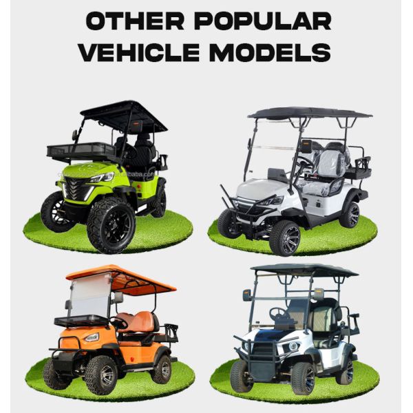 Luxury Mini Electric Golf Carts Buggy Car Off Road Street Legal Small Golf Cart 2 Seater