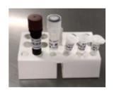Accurate COVID-19 Detection Kit RT-PCR Type Rapid Test Kit For Human Diseases