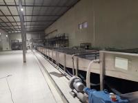Máquina de túnel de pasteurización de baño de agua para pasta de tomate enlatada Tamaños de 70 g a 3 kg Capacidad o velocidad de 50 a 600 cpm
