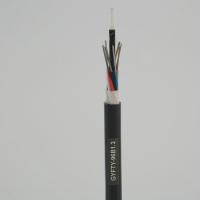 Les noyaux optiques extérieurs GYFTY du câble de fibre de veste de PE 2 à 288 ont échoué 1KM