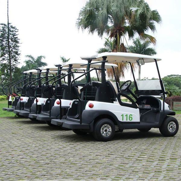 2 Passengers Electric Golf Buggy With 30% Climbing Capacity And 35KM/H Speed