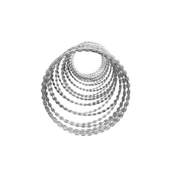 Hot Dipped Galvanized Barbed Wire Concertina Razor Wire Hot sale